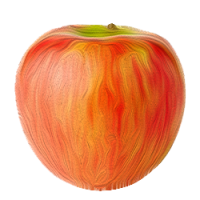 Honeycrisp Honeycrisp